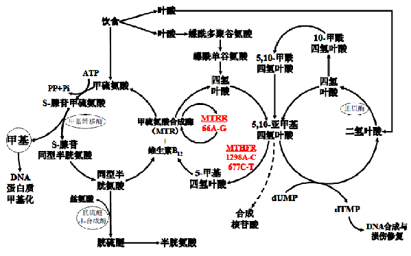 伟德体育 - 综合体育赛事平台|奥体中心相助同伴
