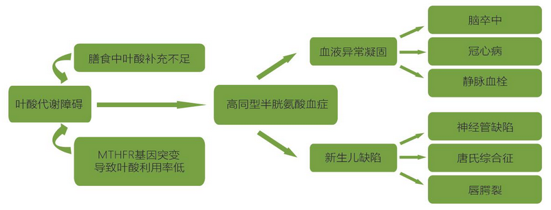 伟德体育 - 综合体育赛事平台|奥体中心相助同伴