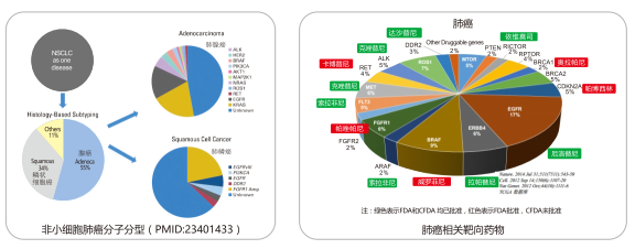 伟德体育 - 综合体育赛事平台|奥体中心相助同伴