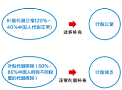 伟德体育 - 综合体育赛事平台|奥体中心相助同伴