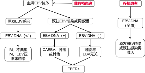 伟德体育 - 综合体育赛事平台|奥体中心相助同伴