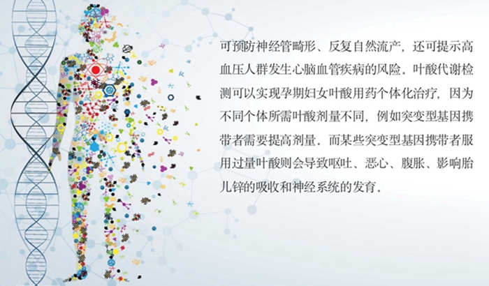 伟德体育 - 综合体育赛事平台|奥体中心相助同伴