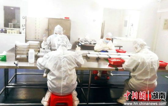 伟德体育 - 综合体育赛事平台|奥体中心相助同伴