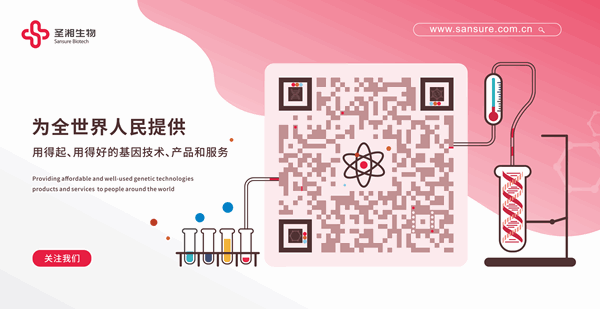 伟德体育 - 综合体育赛事平台|奥体中心相助同伴