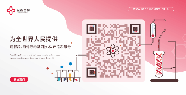 伟德体育 - 综合体育赛事平台|奥体中心相助同伴