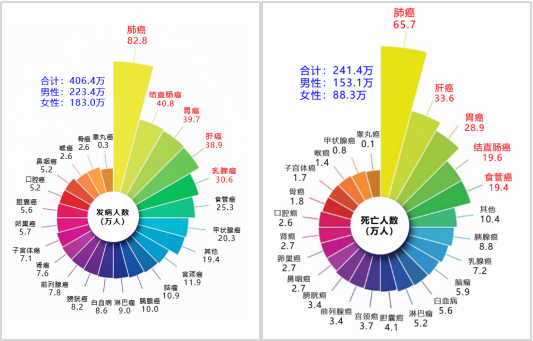 伟德体育 - 综合体育赛事平台|奥体中心相助同伴
