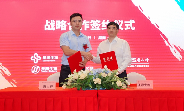 伟德体育 - 综合体育赛事平台|奥体中心相助同伴