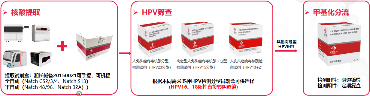 伟德体育 - 综合体育赛事平台|奥体中心相助同伴