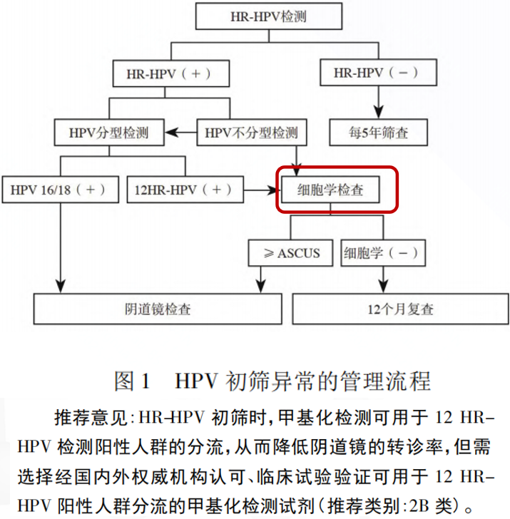伟德体育 - 综合体育赛事平台|奥体中心相助同伴